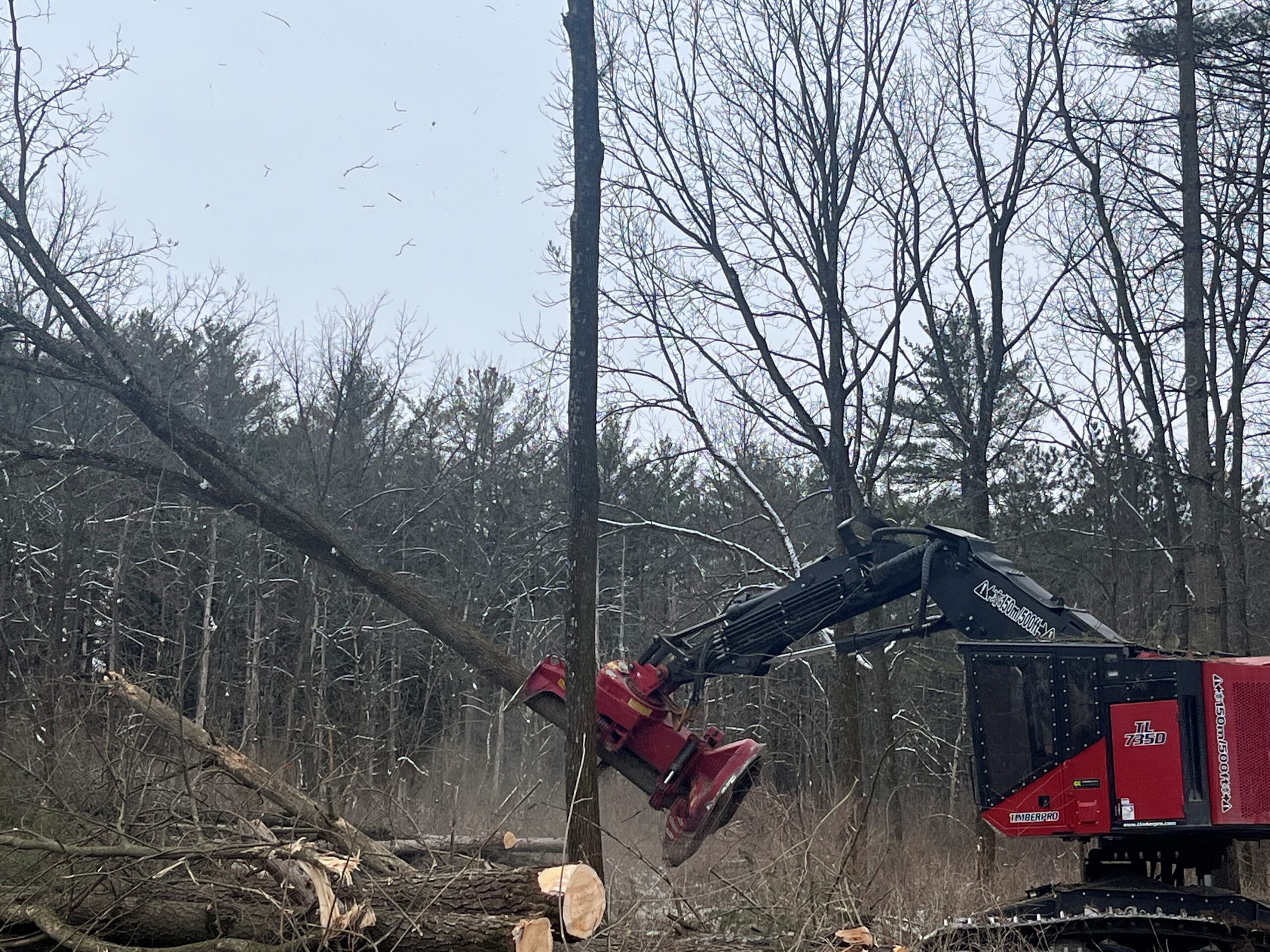Forestry Mulching