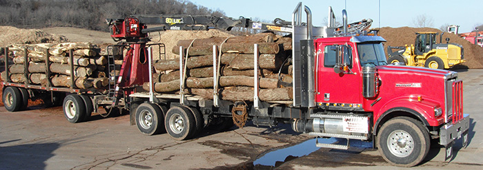 Whole Log Firewood