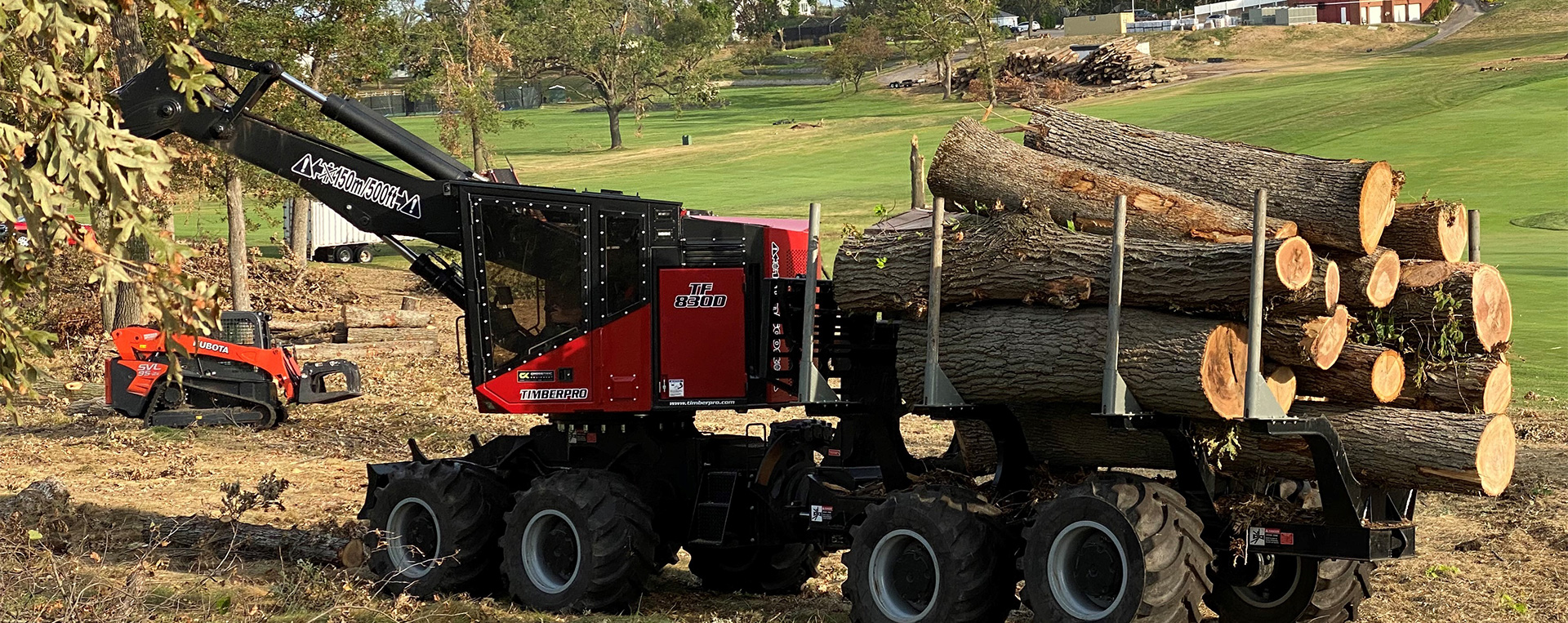 Timber forwarder carrying freshly cut logs