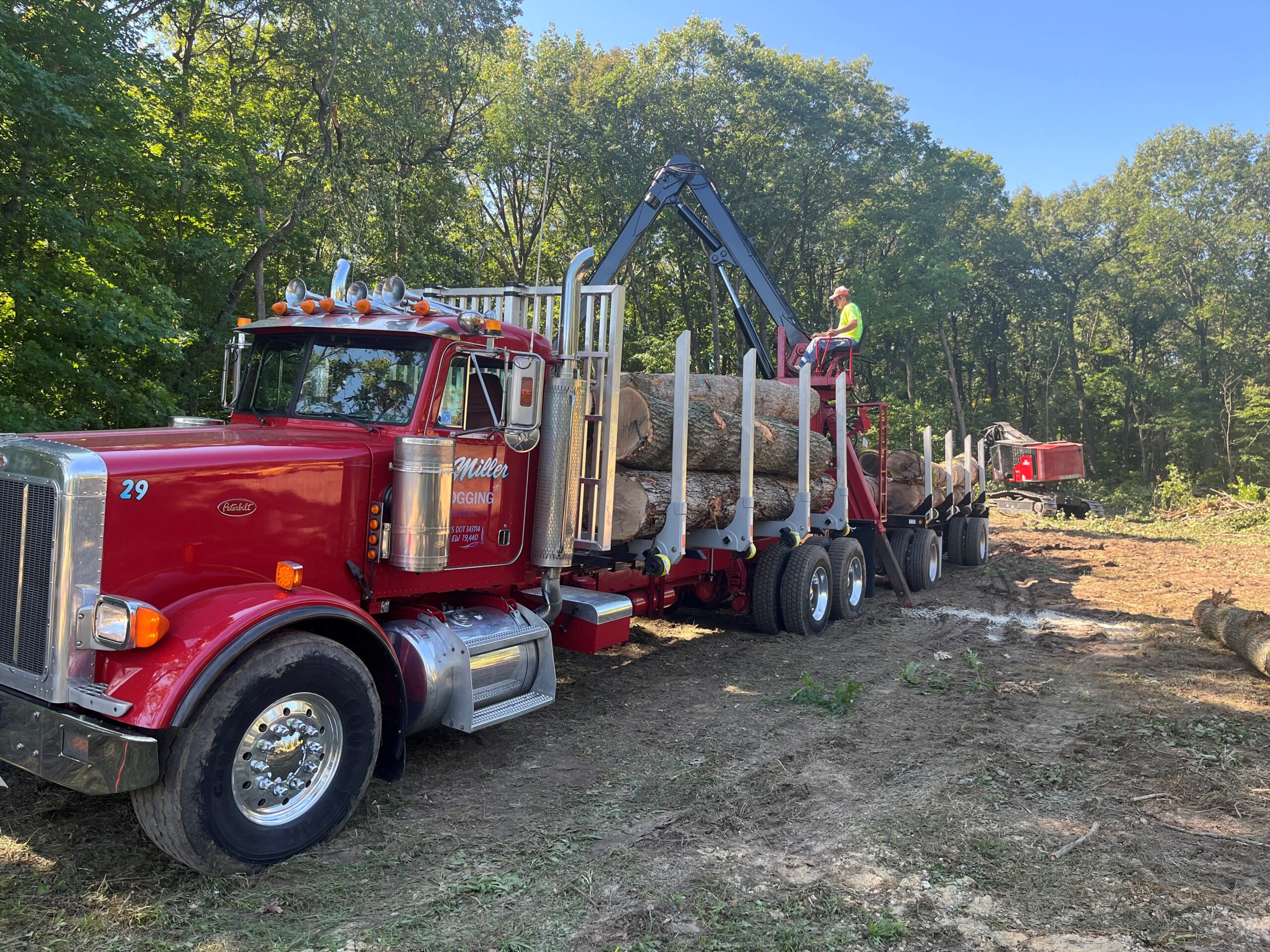 Red logging truck being loaded in the woods